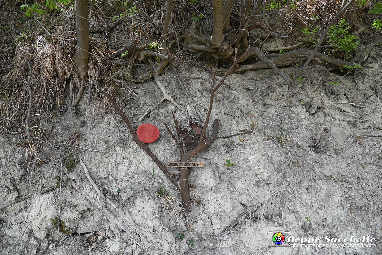 VBS_3165 - Mango (Cuneo) - Gnomovia.jpg